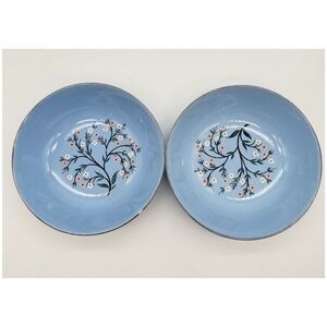 Vintage Homer Laughlin Skytone Blue Floral Fruit Dessert Bowls Set of 2 5.5"